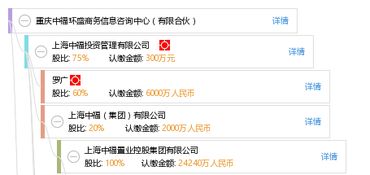 重庆中福环盛商务信息咨询中心（有限合伙） 企业信息服务领域的专业合作伙伴