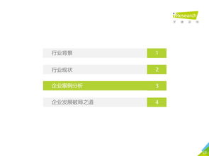 2019年中国商业航天通信应用发展研究报告 重塑天基通信生态的里程碑与路径解析