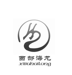 重庆市海硕商务信息咨询有限责任公司 专业商务信息咨询服务解析